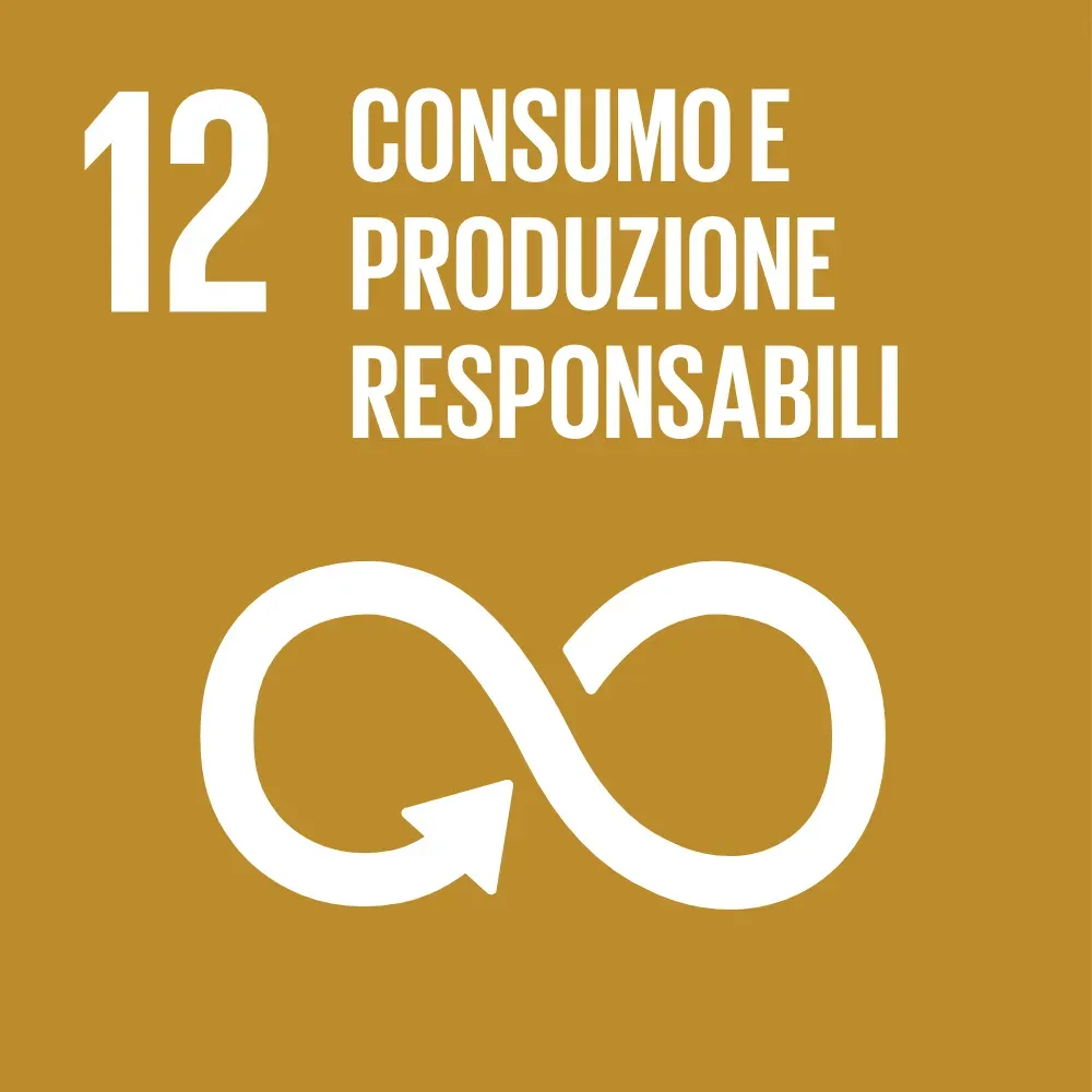 SDG 12 - Consumo e produzione responsabili
