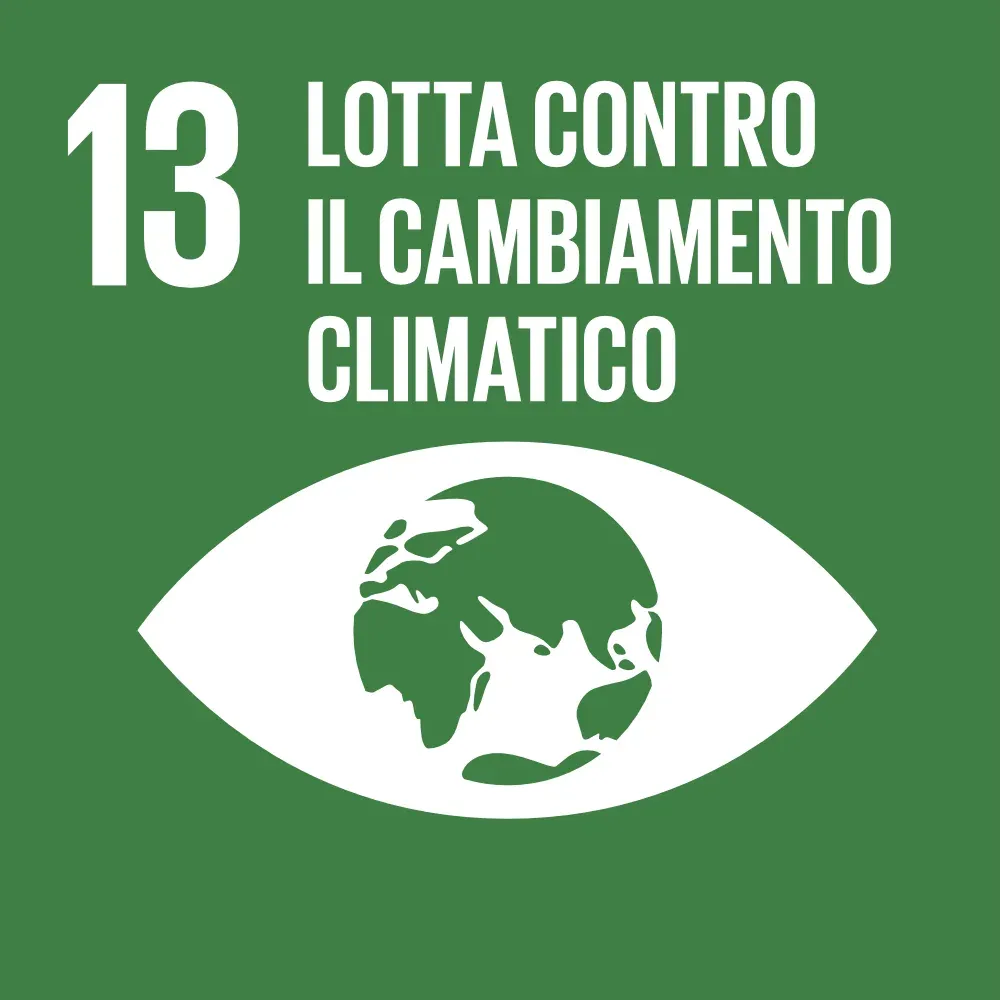 SDG 13 - Lotta contro il cambiamento climatico