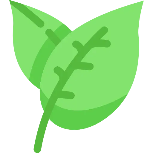 leaf.webp